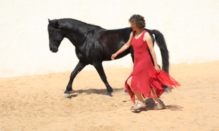 Pferdecoaching-Tango Djerba-Strand