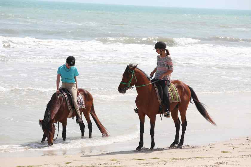 Reiter am Strand, stehend mit Pferden im Meer