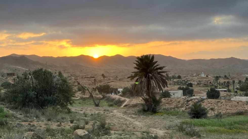 untergehende Sonne hintereiner Bergkette mit drei Palmen in eine Oase davor