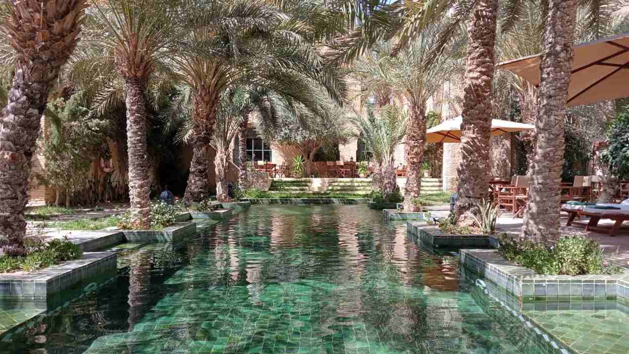 dar-tozeur-hotel Pool in einem Palmengarten