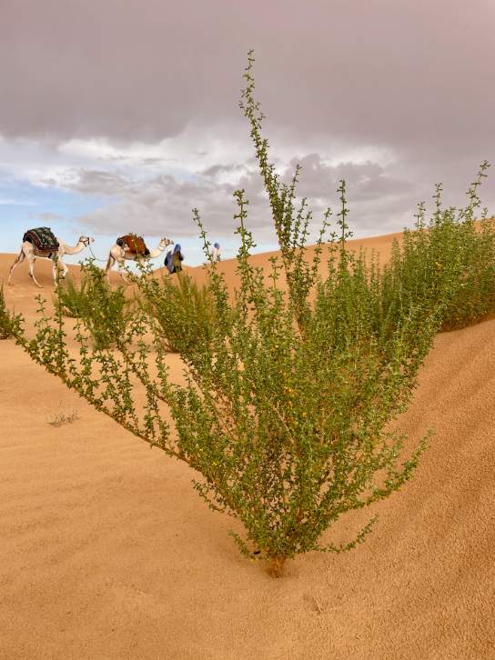 Unterwegs mit dem Trek, wo sich waschen & Toilette