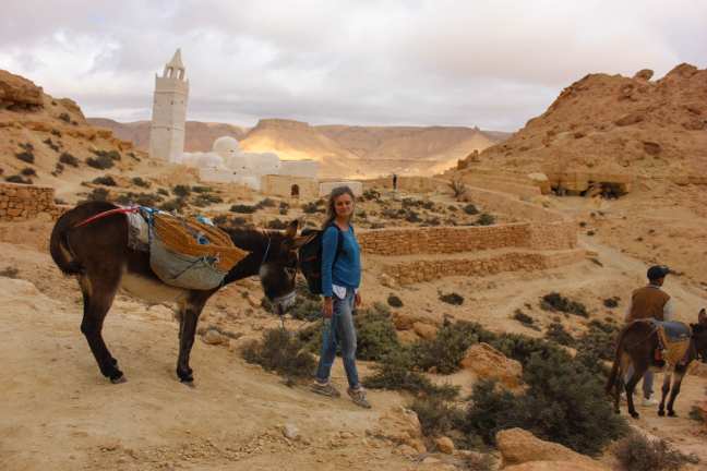 Eselwandern in Tunesien