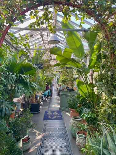 Pflanzenhaus und Weg in der Mitte, links und rechts Pflanzen